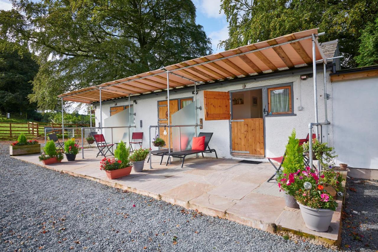 One-Bedroom Chalet