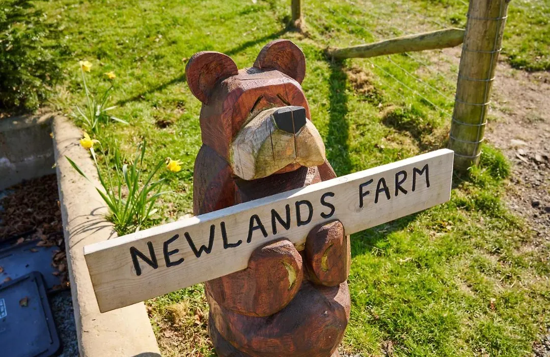 Newlands Farm Stables-1